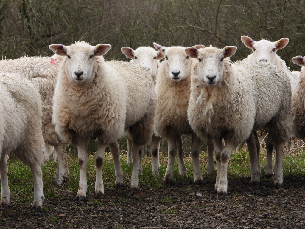Friends in muddy places